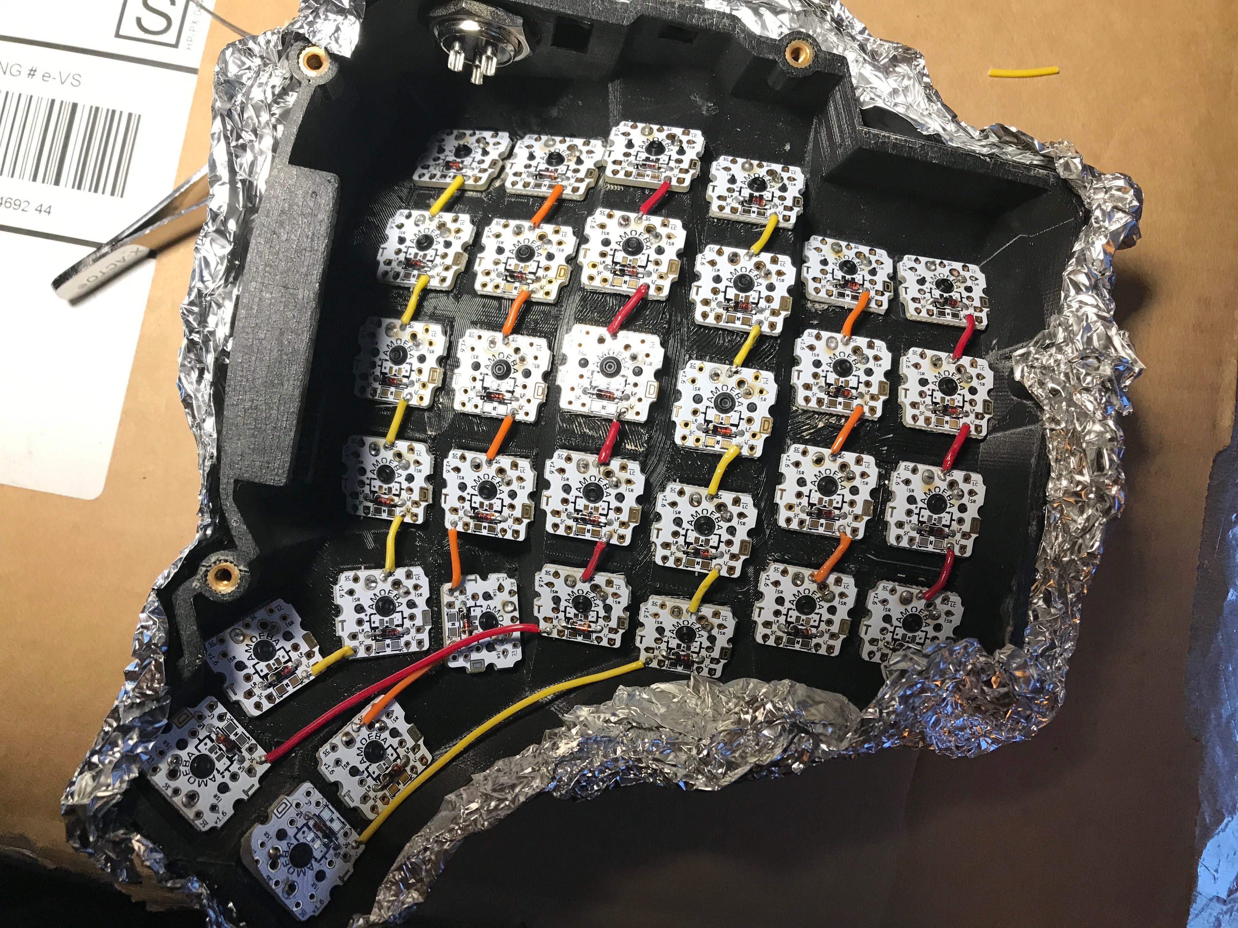 Rows wired between amoebas